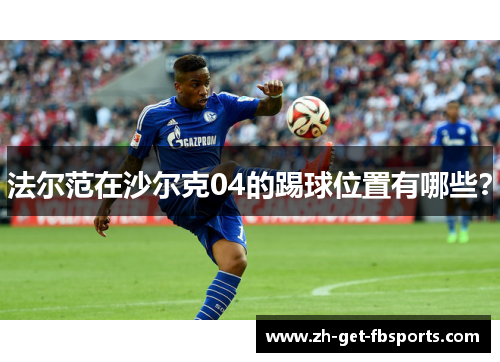 法尔范在沙尔克04的踢球位置有哪些? 法尔范在沙尔克04的踢球位置有哪些?