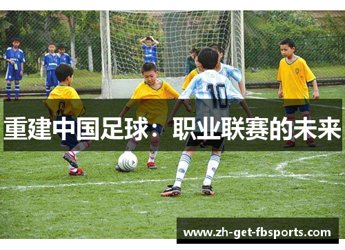 重建中国足球:职业联赛的未来 重建中国足球:职业联赛的未来