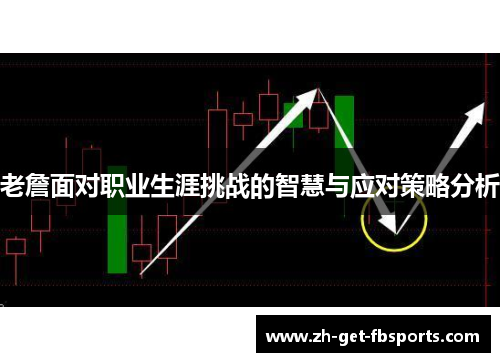 老詹面对职业生涯挑战的智慧与应对策略分析