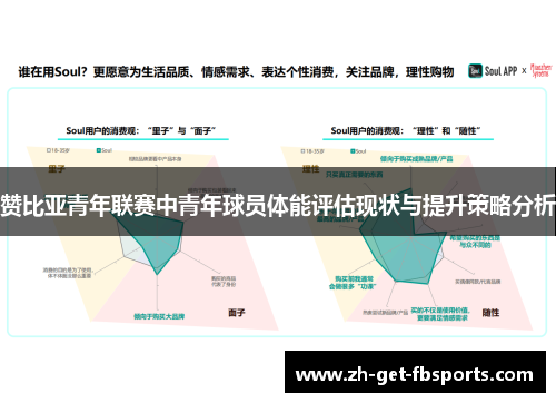 赞比亚青年联赛中青年球员体能评估现状与提升策略分析